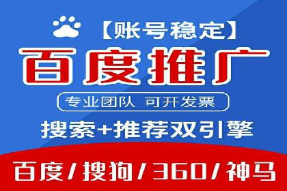 顶级SEM服务公司案例解析